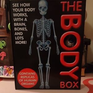 The Body Box with Human Organ Replicas